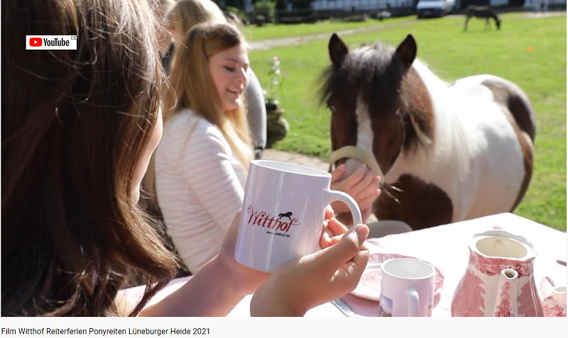 Reiterhof, Ponyhof, Ponyreiten mit den Pferden- Gute Laune, Lüneburger Heide