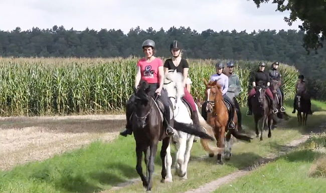gef&uuml;hrte und sichere Ausritte mit den Ponys und Pferden in die L&uuml;neburger Heide