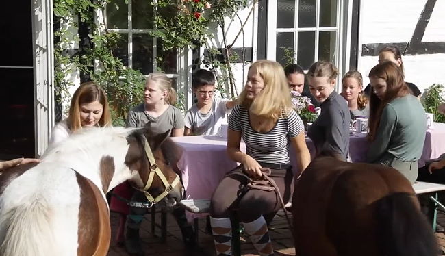 Hautkontakt mit den Ponys & Pferden