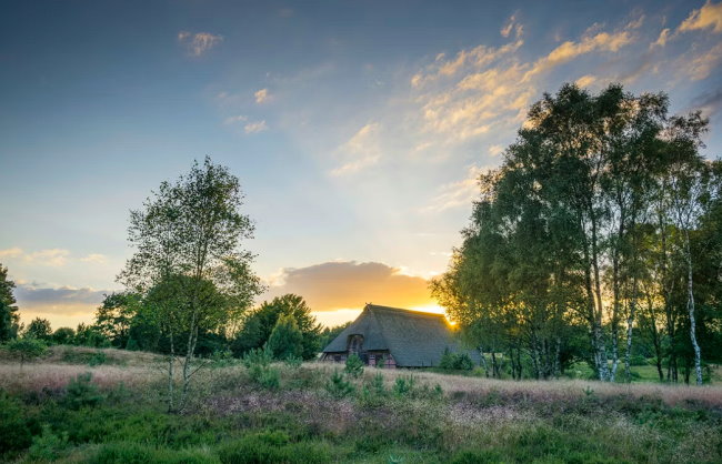 Reiten - Der Naturraum Lüneburger Heide