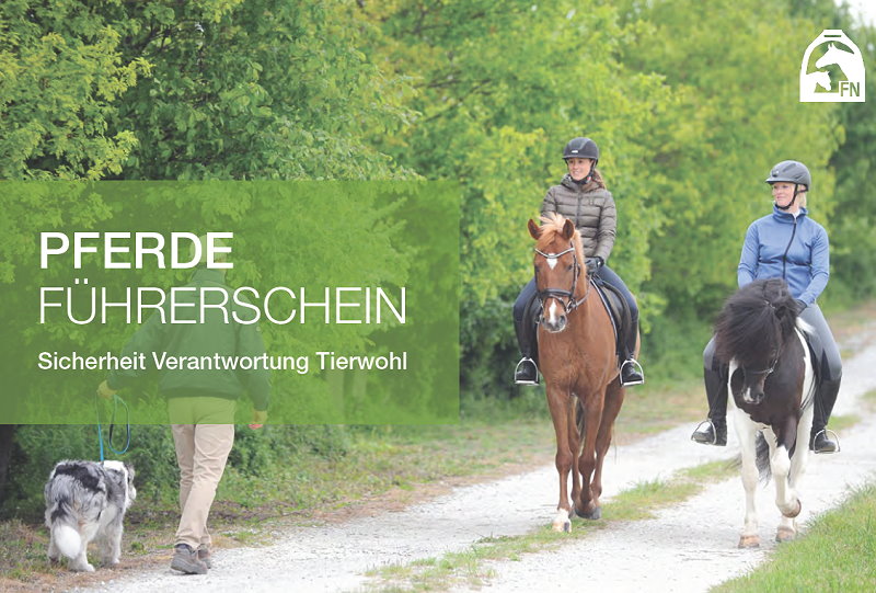 Pferdeführerscheine FN Umgang und Reiten