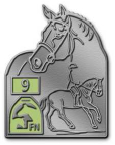DEUTSCHE REITABZEICHEN 9 (RA 9) FRÜHER