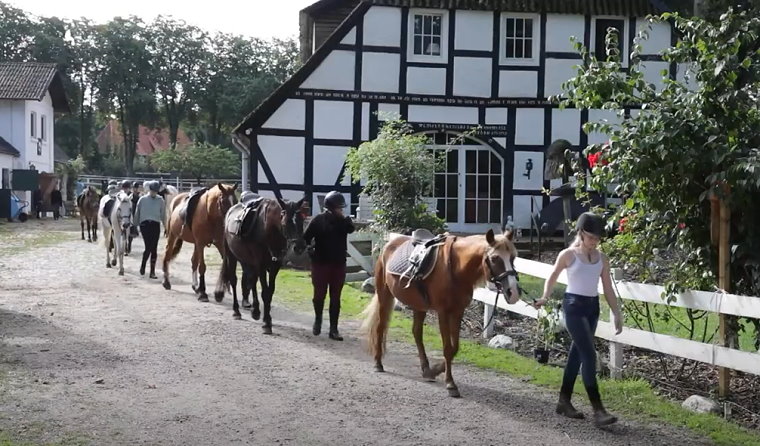 Ausreiten in die L�neburger Heide - Ponyreiten auf dem Witthof