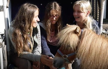 Neue Freunde finden - Ponyreiten auf dem Witthof