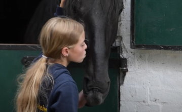 Pferde zum liebhaben - Ponyreiten auf dem Witthof