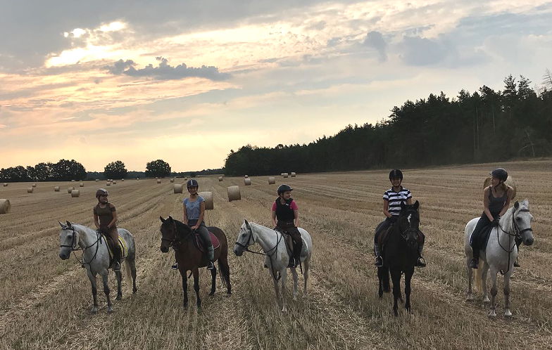 Günstige und gute Reiterferien auf dem Witthof; Lüneburger Heide