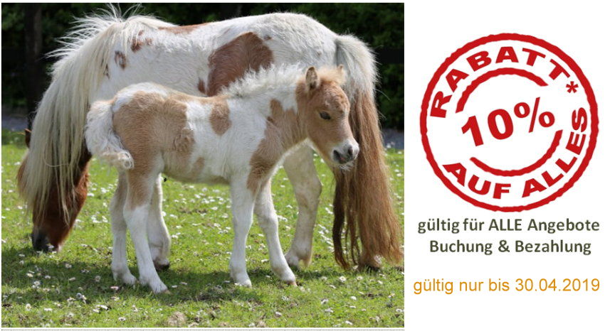 10 % Rabatt auf alle unsere Angebote