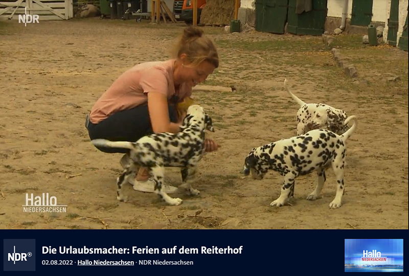 Die Urlaubsmacher: Ferien auf dem Reiterhof Witthof