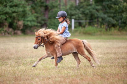 Ausreiten - Lüneburger Heide